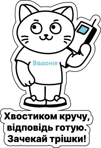 Котик Водоня: «Хвостиком кручу, відповідь готую. Зачекай трішки!»